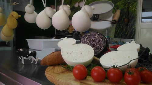 1kg scamorza pasta filata - pasta,